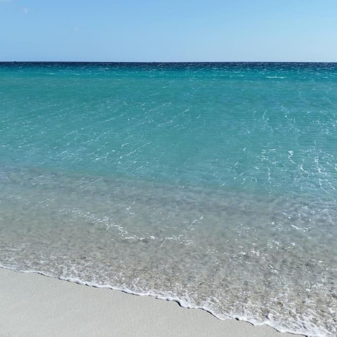 Appartamento Sole E Mare ブドーニ エクステリア 写真
